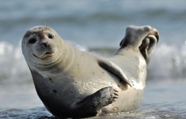 Les Tropiques De La Baie Lägenhet Ponthoile Exteriör bild